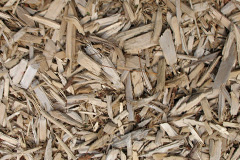 biomass boilers Apedale